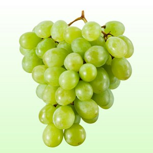 달님식품 오톰크리스피 애플 청포도 grape, 오톰크리스피 (1kg 내외) x 1팩, 1개