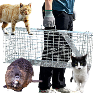 해피썬 고양이 포획틀 중형 대형 특대 덫 트랩 족제비 통덫, 특대형(93x30x33)