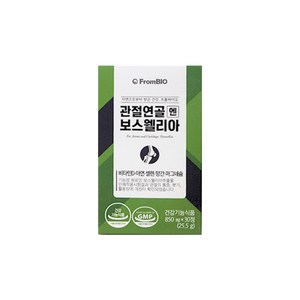 식약처 인증 프롬바이오 이병헌 관절 연골 엔 보스웰리아 3개월 6개월 9개월 12개월 분 무릎 남 여 성 뼈 건강 영양제 부모님 선물 보스웰니아 보수웰리아 보수웰니아 보스엘리아, 30정, 7개