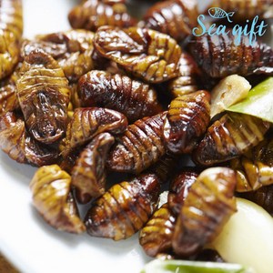 [씨기프트]냉동 번데기 1kg 2kg 주전부리 간식 안주, 1개