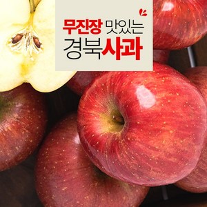 [팜쿡] 무진장 맛있는 경북 부사 가정용 상 10kg, 1개