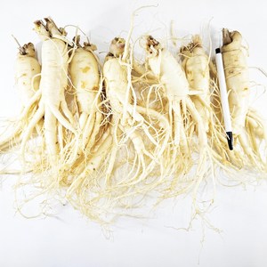 4~5년근 삼 인삼수삼 세척인삼 진공포장 원수삼 왕대, (세척)원수삼 왕대 7 ~ 8뿌리 1kg, 1개