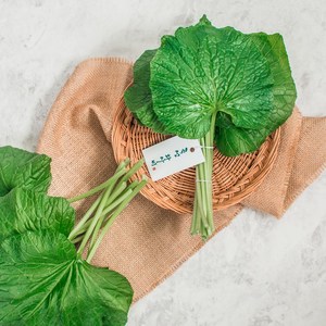 곡성 GAP 와사비잎 쌈채소/고추냉이잎, 1개, 300g