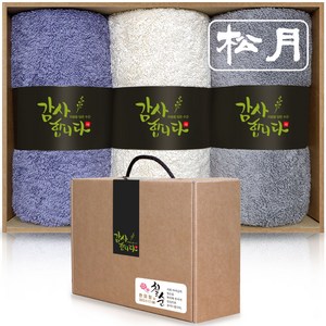 송월타올 40수 코마사 160g x 3p 수건선물세트 돌 환갑 칠순 팔순 구순 회사 교회 학교 기업 행사 조문 개업 결혼 호텔답례품, A (퍼플+베이지+그레이), 1세트