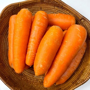 제주 구좌 세척 당근 흙당근 주스 국내산 햇당근 단맛 미니 친환경, 왕 사이즈, 3kg