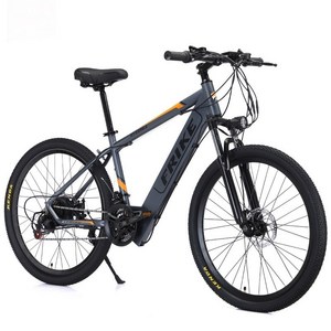 PAS 전기자전거 MTB 보조동력 출퇴근 파스 26인치 전동 바이크, 36V 10A 40km, 블랙/그레이