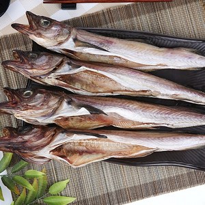 파란별건어물 [속초특산물] 쫄깃한 맛 반건조 코다리 39cm 깔끔코다리, 4개