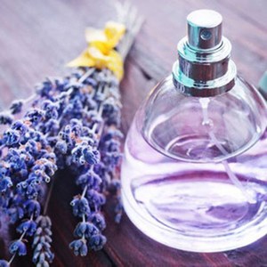 아로마케이 에센셜오일 EO 비누 화장품 오일 비누만들기재료, 라벤더프랜치오일30ml, 1개