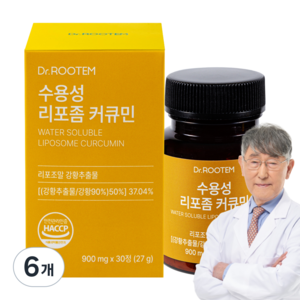 닥터루템 수용성 커큐민 강황 영양제 흡수율 높인 리포좀 커큐민, 6개, 30정