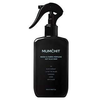 멈칫 대용량 섬유향수, 소프트블루솝, 250ml, 1개 대표 이미지 - 남자 시트러스 향수 추천