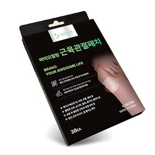 다양한 파스