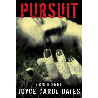 (外文書)Pursuit Paperback, Mysterious Press, English