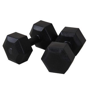 이고진 블랙육각 덤벨 4kg 2개