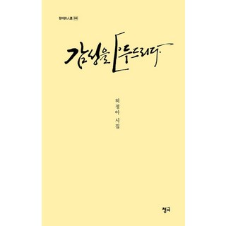 감성을 두드리다:허정아 시집, 청어, 허정아