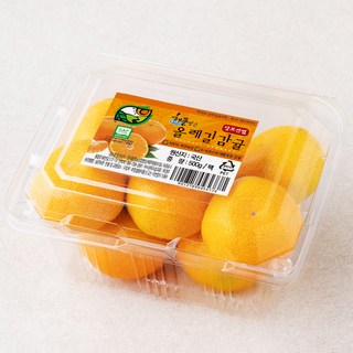 해풍맞은 올레길 Ai 당도선별 11brix감귤, 500g, 1개
