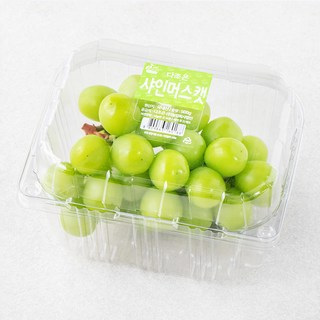 다조은 비파괴당도선별 샤인머스켓, 500g, 1팩