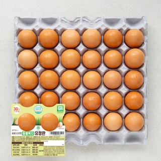 곰곰 신선한 동물복지 유정란 30구