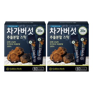 골든허브 프리미엄 차가버섯 추출분말 스틱, 1g, 120개