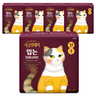시크릿데이 하트 입는 오버나이트, 중형, 4개입, 5개