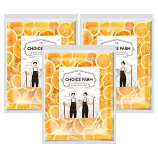 초이스팜 건오렌지 슬라이스 실속형, 3개, 150g