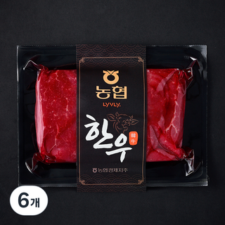 농협 한우 1등급 육전용 (냉장), 6개, 300g