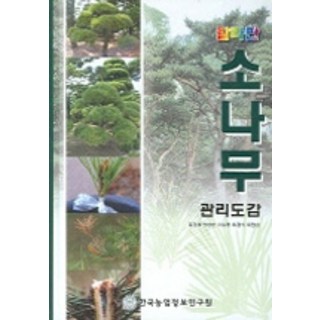 칼라판소나무 관리도감