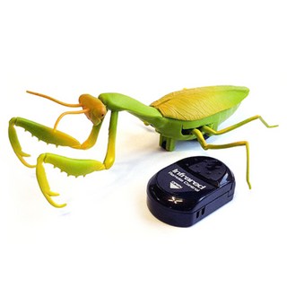 반디 자이언트 사마귀 RC로 문제 해결하기