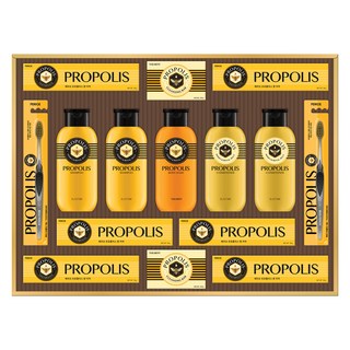 LG생활건강 선물세트 프로폴리스 A호 + 쇼핑백 1개 상품 이미지