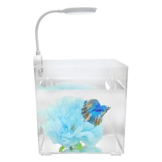 Canhu Aquarium 閃亮Beta花床水族箱組, 明亮的天空, 1組