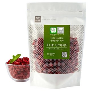 유가원 유기농 건크렌베리, 260g, 1개
