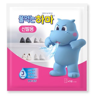 물먹는하마 습기제거제 신발용 10p