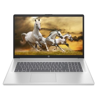 HP 2025 노트북 17