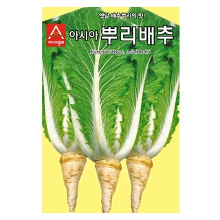 아시아종묘 아시아뿌리배추 씨앗 2000립, 1개
