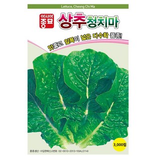 아시아종묘 씨앗 상추 청치마 3000립, 1개