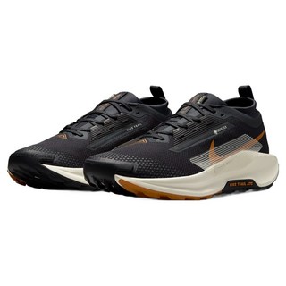 NIKE 耐吉 男款 慢跑鞋/運動鞋/越野鞋 PEGASUS TRAIL 5 GTX FQ0908-007