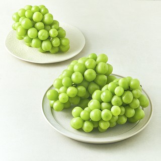 3. 다조은 비파괴당..