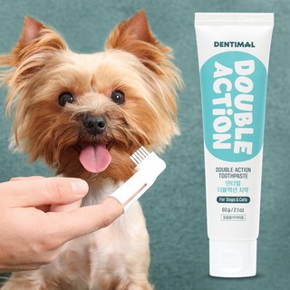 무지조타 냄새쓱싹 강아지 고양이 뿌리는 스프레이, 구강/치석관리, 100ml, 2개 강아지구취제거제 13 덴티멀 더블액션 반려동물 바르는 치약 치석제거, 60g, 1개