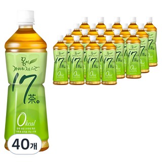 17차 몸이 가벼워지는 시간, 500ml, 40개