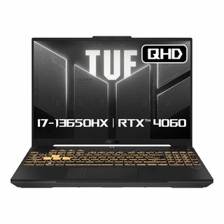 에이수스 2024 TUF 게이밍 F16 코어i7 인텔 13세대 지포스 RTX 4060, Mecha Gray, 512GB, 16GB, Free DOS, FX607JV-QT213