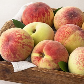 농협 유명산지 당도선별 부드러운 백도복숭아, 1.8kg(5~8입), 1박스