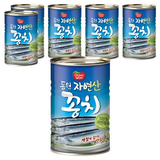 동원 꽁치 통조림, 300g, 6개