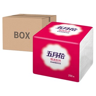 五月花 輕柔系列 單抽式衛生紙 2層, 250張, 48包