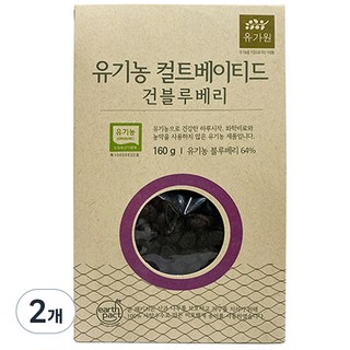 유가원 컬티베이티드 건블루베리, 160g, 2개