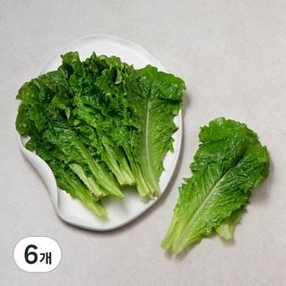 국내산 아삭한 상추, 150g, 6개