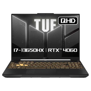 에이수스 2024 TUF 게이밍 F16 코어i7 인텔 13세대 지포스 RTX 4060, Mecha Gray, 512GB, 16GB, Free DOS, FX607JV-QT213