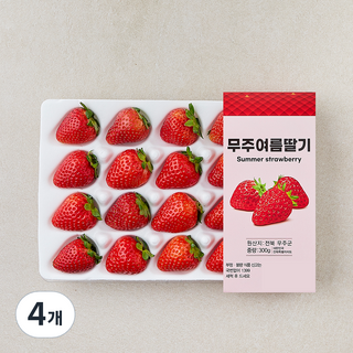 무주 여름 딸기, 4개, 300g(24과내)