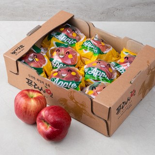 추천5 세척 사과