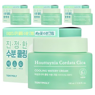 토니모리 어성초 시카 쿨링 수분 크림, 100ml, 4개