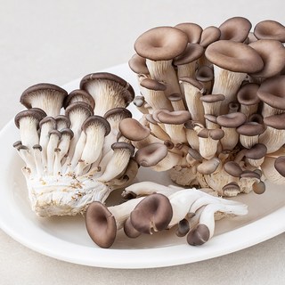 친환경인증 참타리버섯, 300g, 1팩 쿠팡청도미나리 친환경인증 참타리버섯, 300g, 1팩 쿠팡청도미나리
