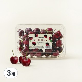 항공직송 점보 체리, 400g, 3팩